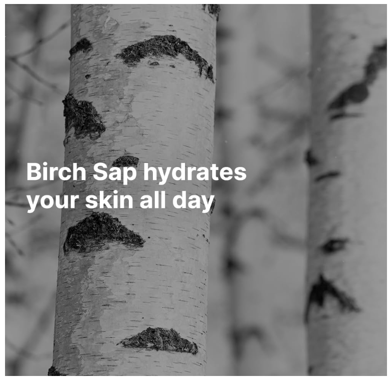 Birch Juice Moisturizing Sunscreen SPF 50+