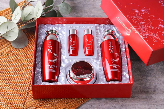 Premium Red Ginseng Skincare Set